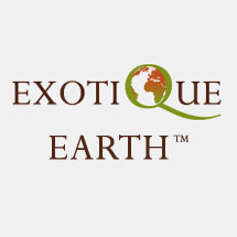 exotique-earth-website-thumbnail